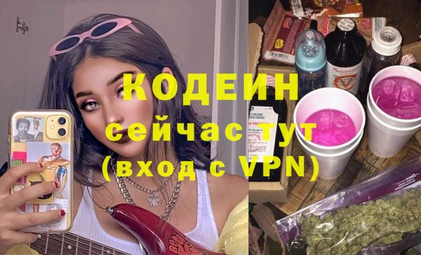 ГАЛЛЮЦИНОГЕННЫЕ ГРИБЫ Ельня