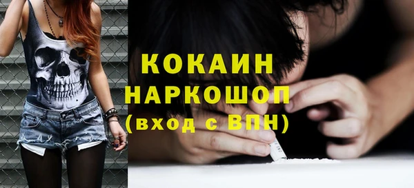 шишки Галич