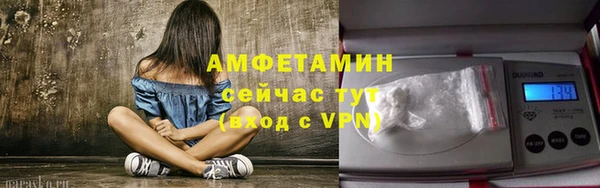 ГАЛЛЮЦИНОГЕННЫЕ ГРИБЫ Ельня