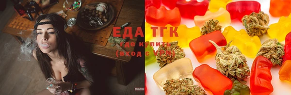 мдпв Гатчина