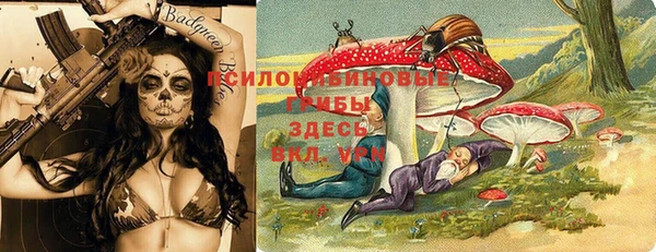 трава Елизово