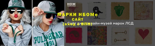 сатива Елабуга
