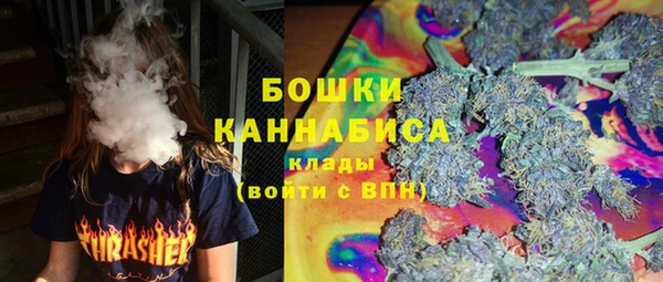 ГАЛЛЮЦИНОГЕННЫЕ ГРИБЫ Ельня