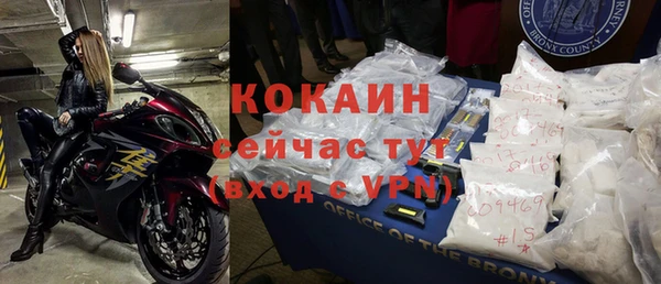 сатива Елабуга