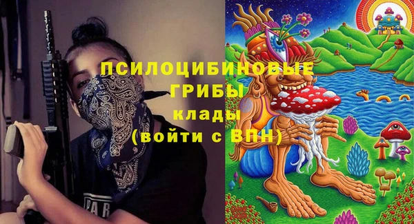 ГАЛЛЮЦИНОГЕННЫЕ ГРИБЫ Ельня