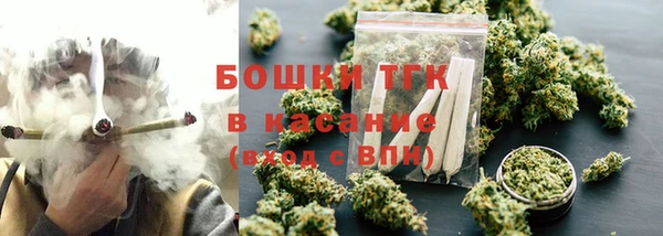 трава Елизово