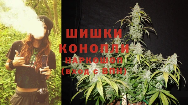 сатива Елабуга
