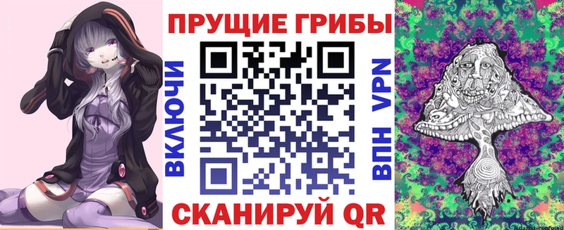 darknet какой сайт  ссылка на мегу как зайти  Елабуга  Псилоцибиновые грибы Psilocybe 