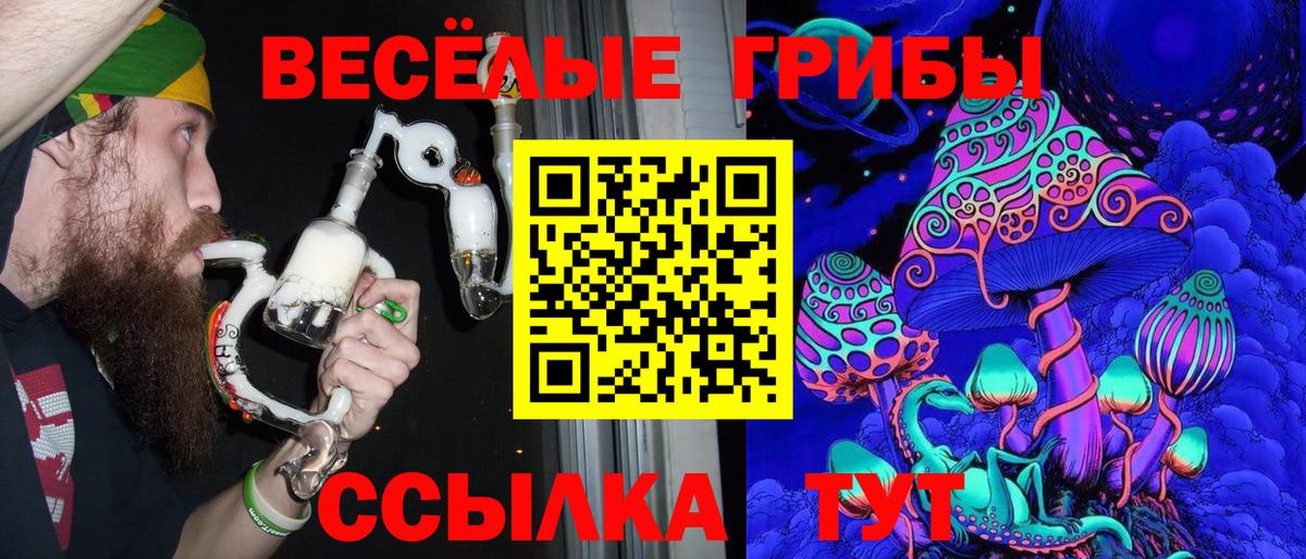 Псилоцибиновые грибы Psilocybe Елабуга